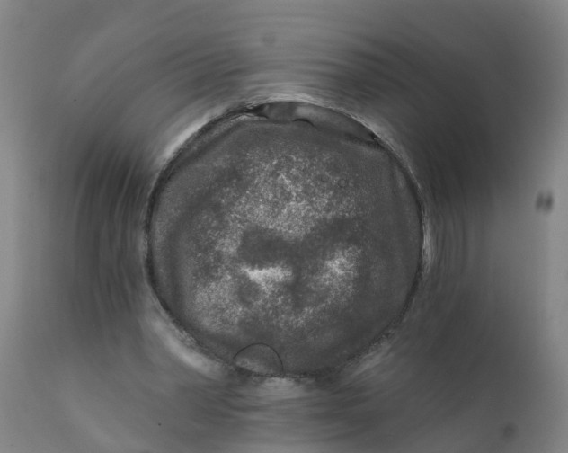 X0000111790390200908131417