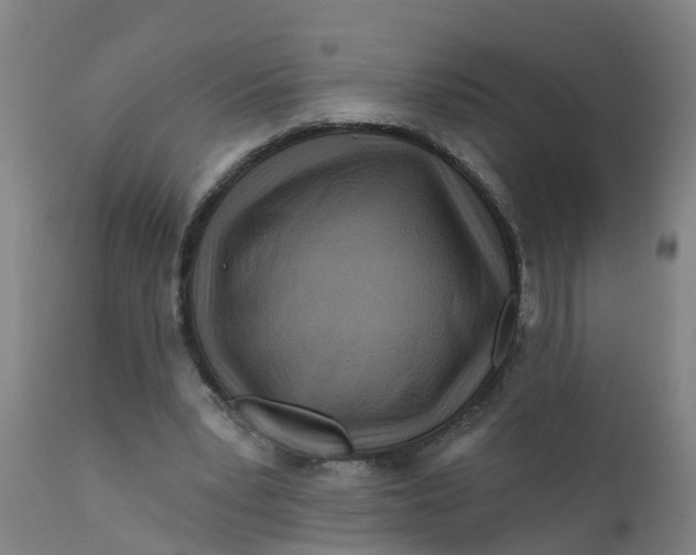 X0000111790391200908131417