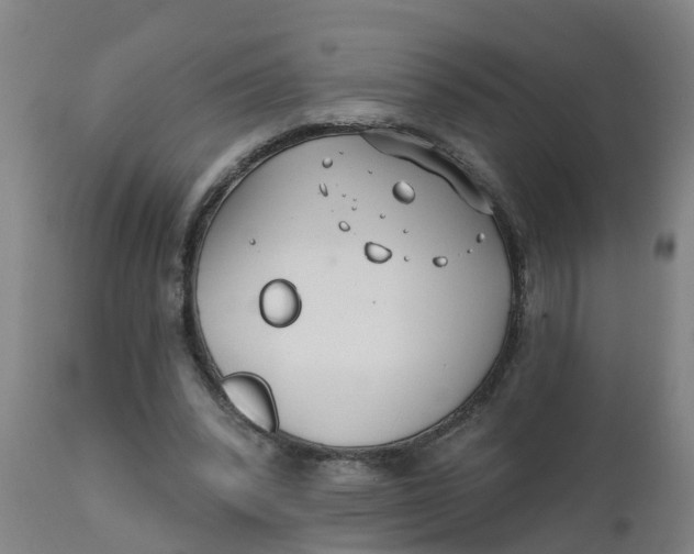 X0000111790392200908131417