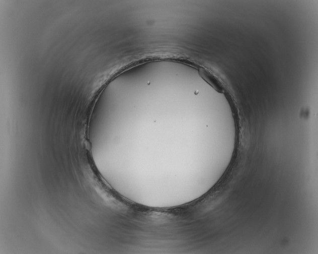 X0000111790393200908131417