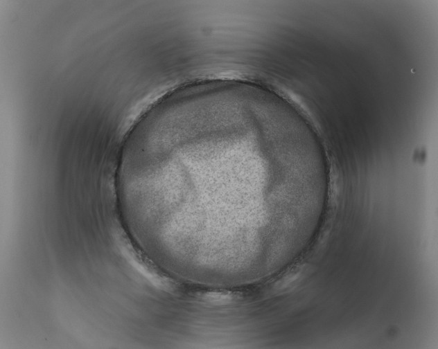 X0000111790394200908131417