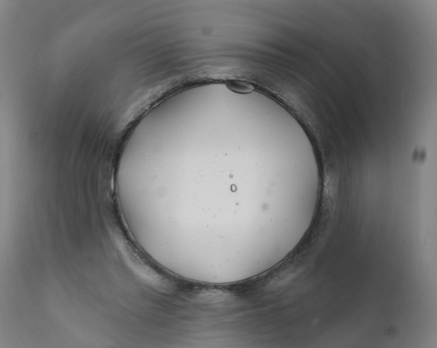 X0000111790397200908131417