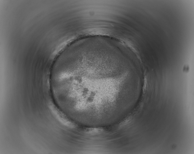 X0000111790398200908131417