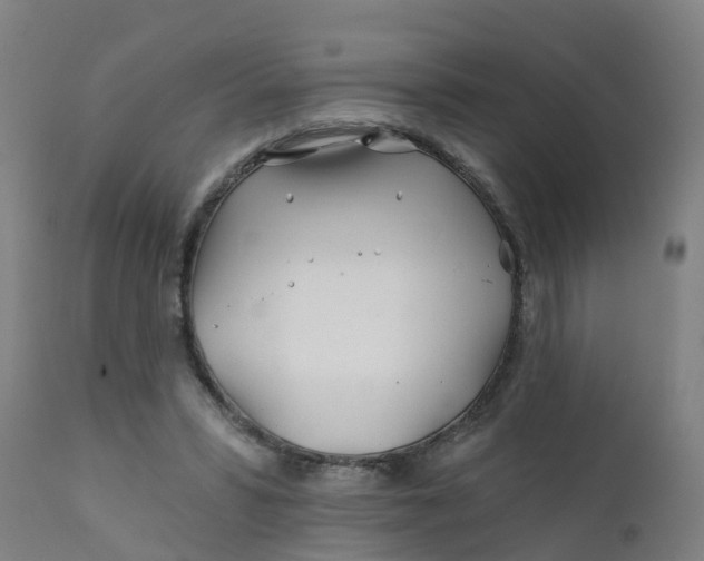 X0000111790399200908131417