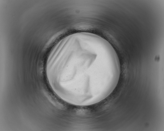 X0000111790400200908131417