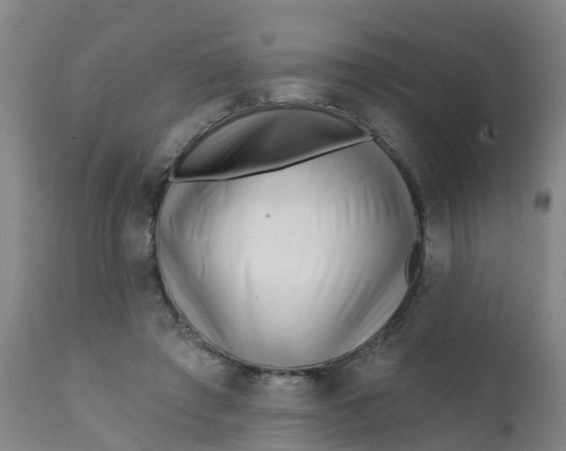 X0000111790401200908131417