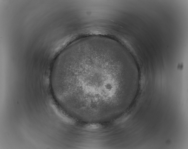 X0000111790402200908131417