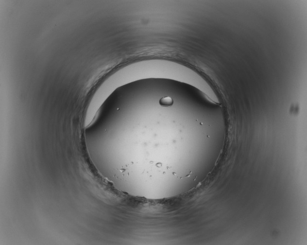 X0000111790403200908131417