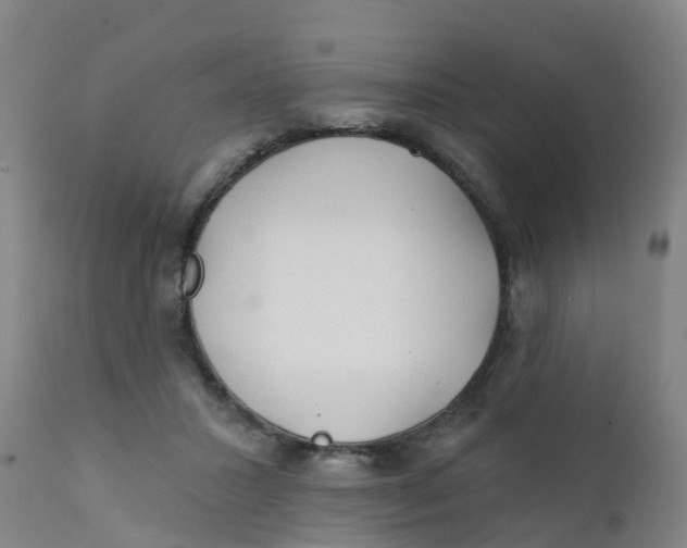 X0000111790407200908131417