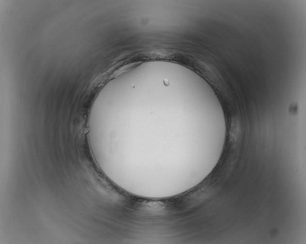 X0000111790409200908131417