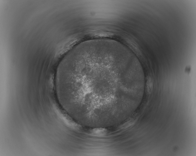 X0000111790410200908131417