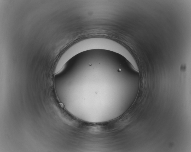 X0000111790411200908131417