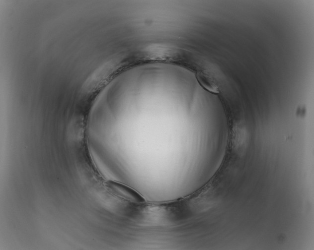 X0000111790413200908131417