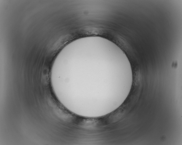 X0000111790414200908131417