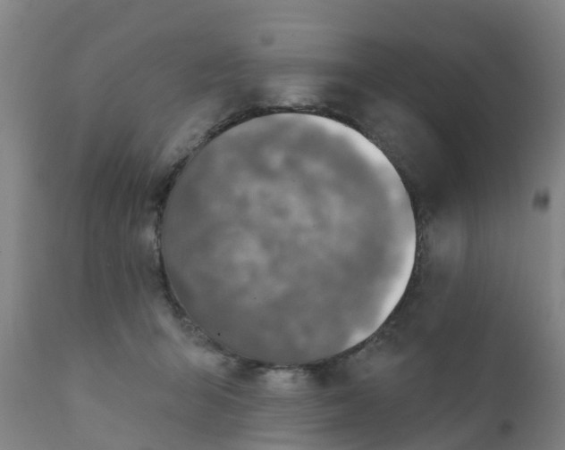 X0000111790415200908131417