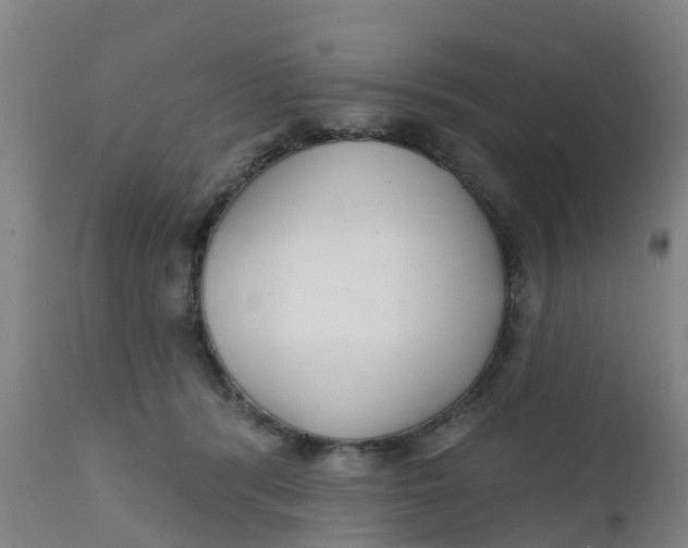 X0000111790416200908131417