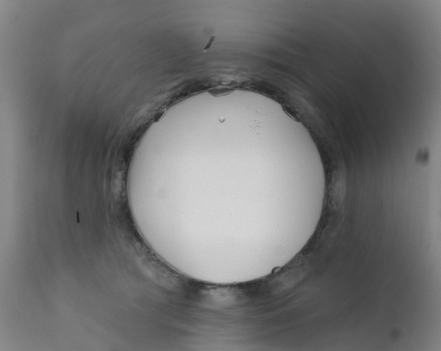 X0000111790417200908131417