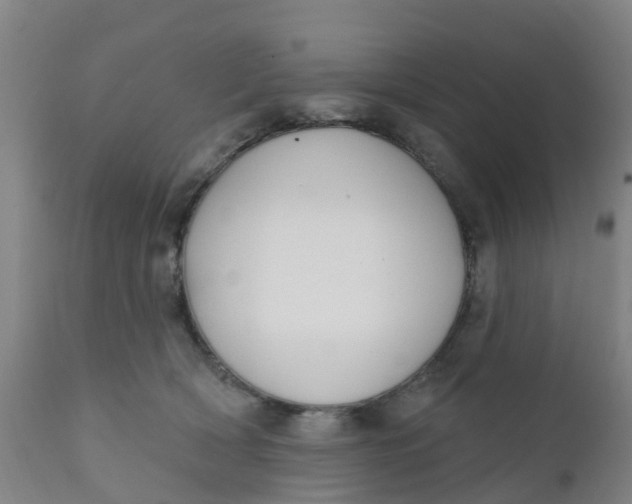 X0000111790418200908131417