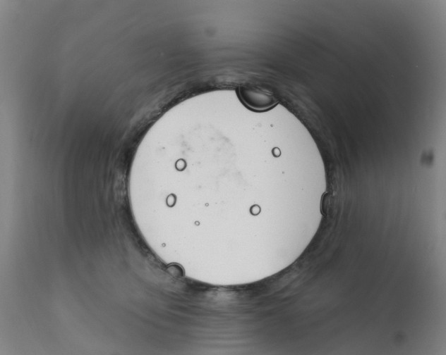 X0000111790419200908131417