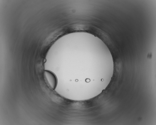 X0000111790422200908131417