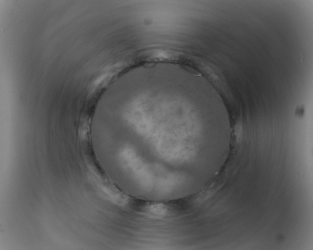 X0000111790423200908131417