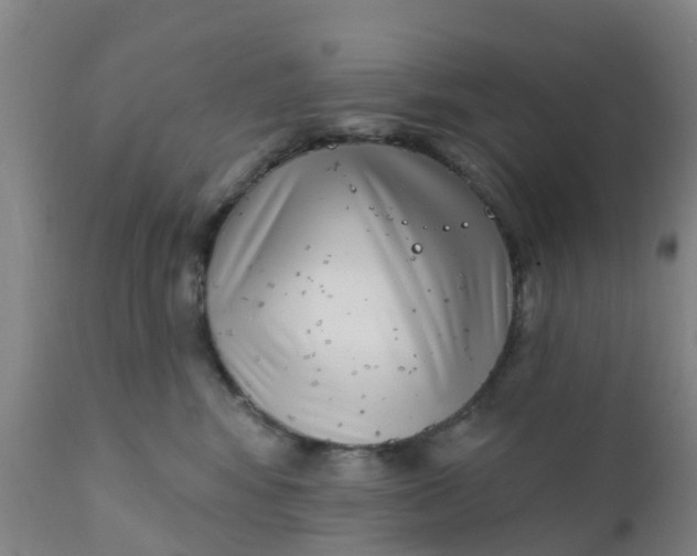 X0000111790424200908131417