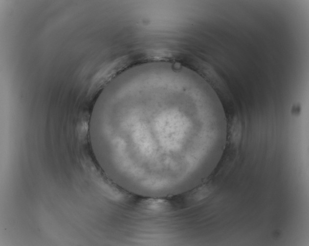 X0000111790427200908131417