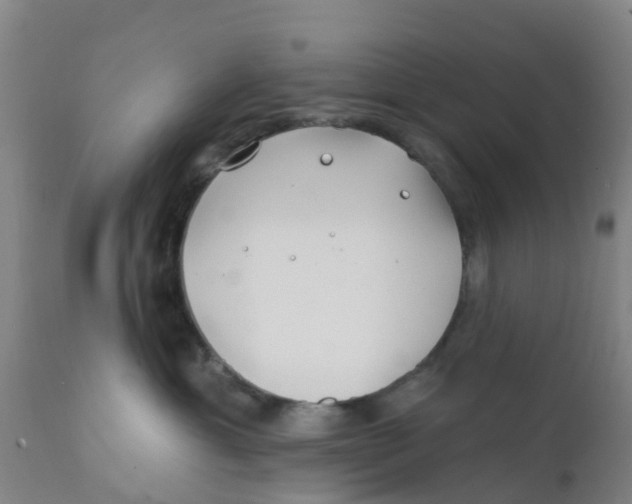 X0000111790429200908131417