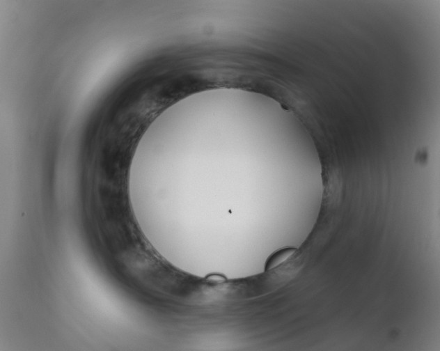 X0000111790430200908131417