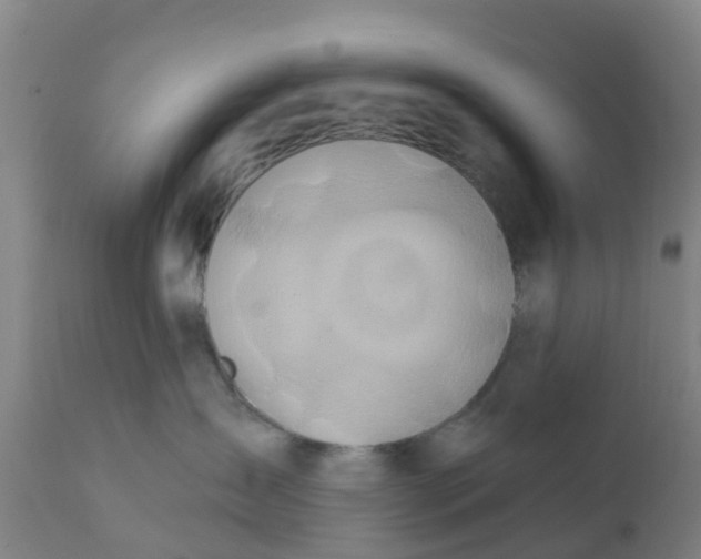 X0000111790431200908131417