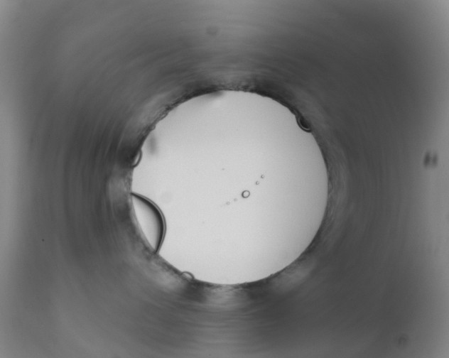 X0000111790432200908131416