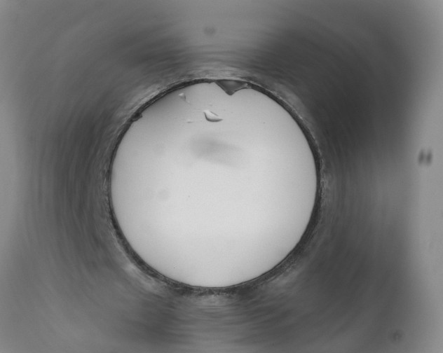 X0000111790433200908131416