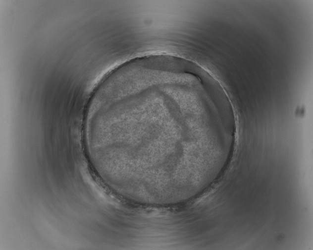 X0000111790434200908131416