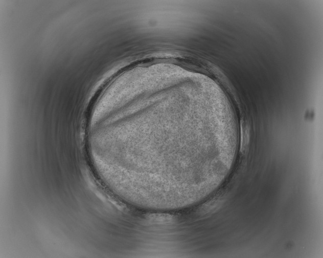 X0000111790435200908131416