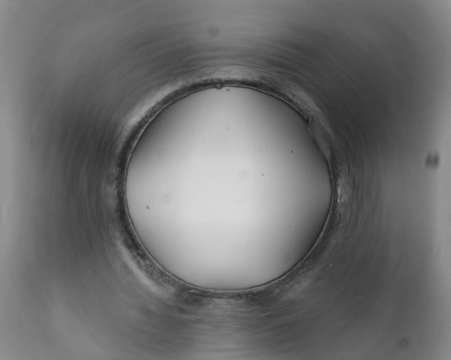 X0000111790436200908131416