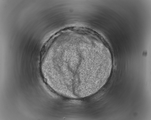 X0000111790437200908131416