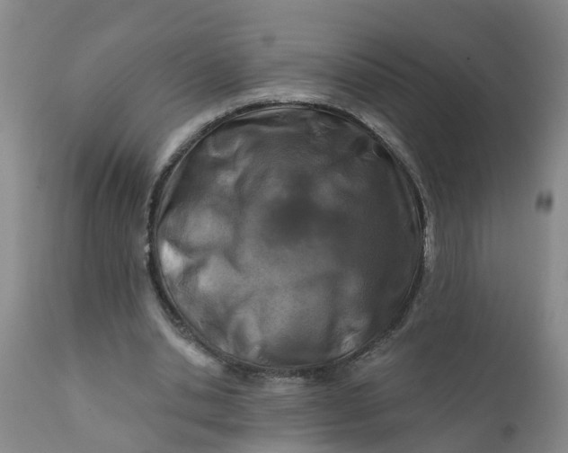 X0000111790438200908131416