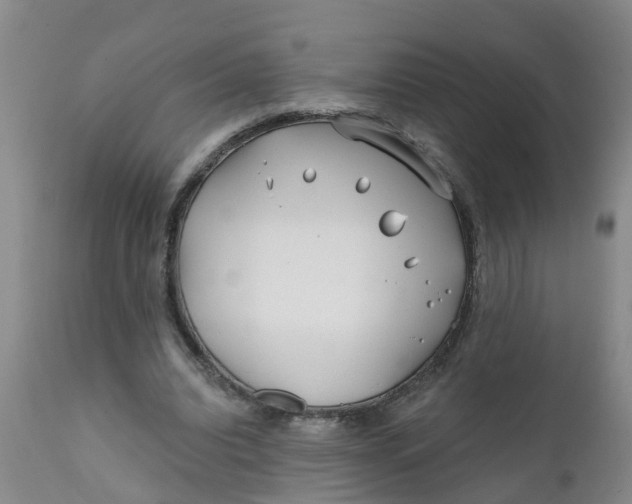 X0000111790440200908131416