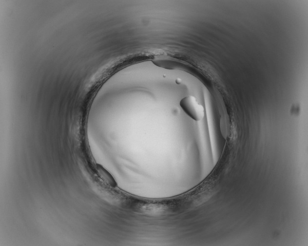 X0000111790444200908131416