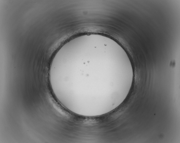 X0000111790445200908131416