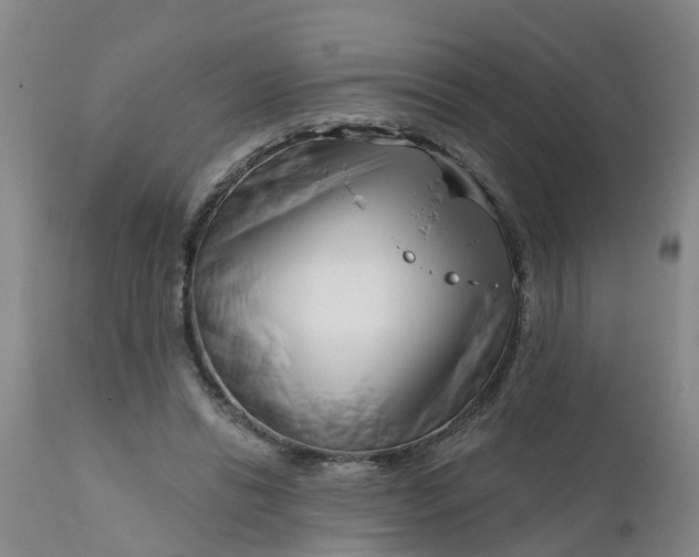 X0000111790446200908131416