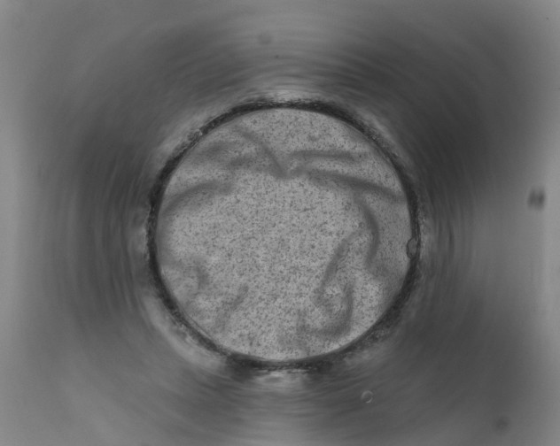 X0000111790447200908131416