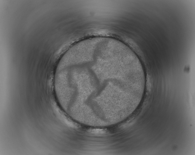 X0000111790449200908131416