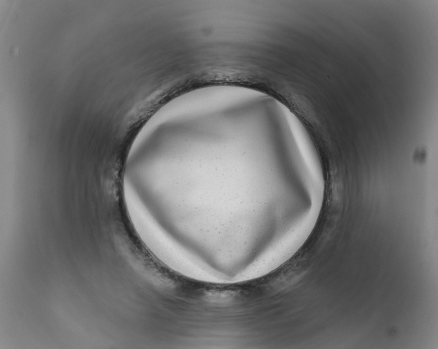 X0000111790450200908131416