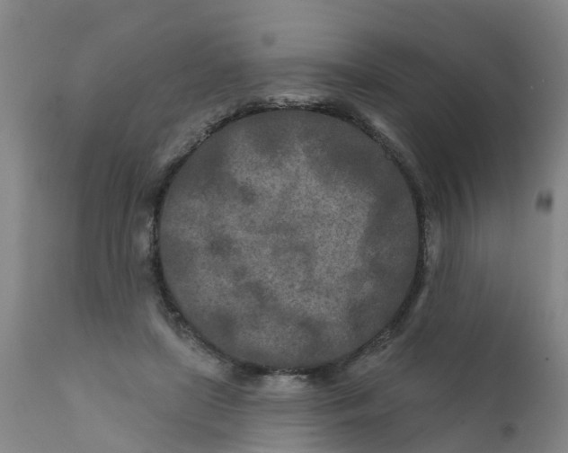 X0000111790451200908131416