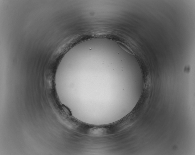 X0000111790452200908131416