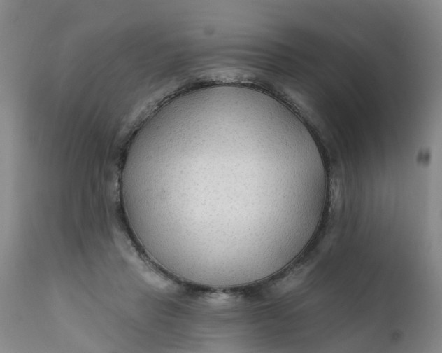 X0000111790453200908131416