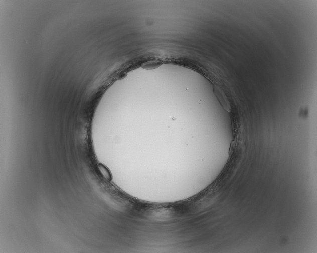 X0000111790456200908131416