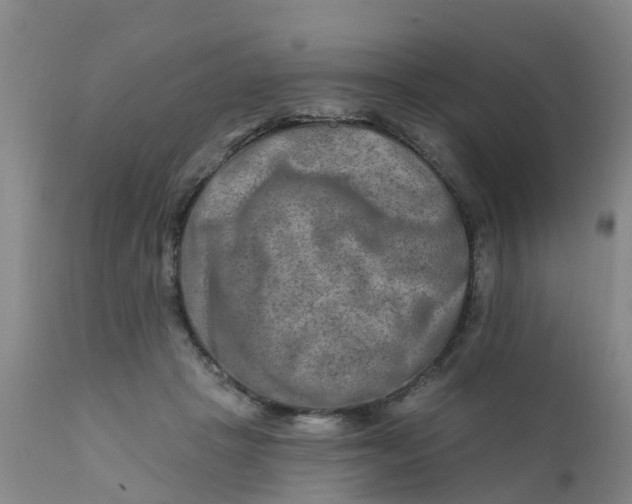 X0000111790457200908131416