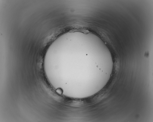 X0000111790458200908131416